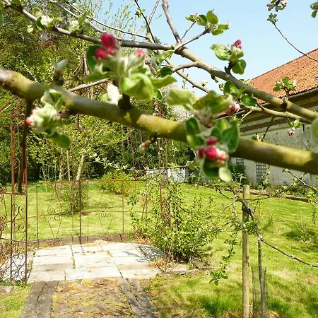 Au Petit Tambour D'autingues Bed & Breakfast Autingues