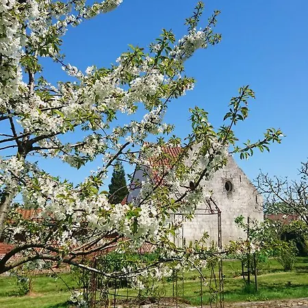 Bed & Breakfast Au Petit Tambour D'autingues
