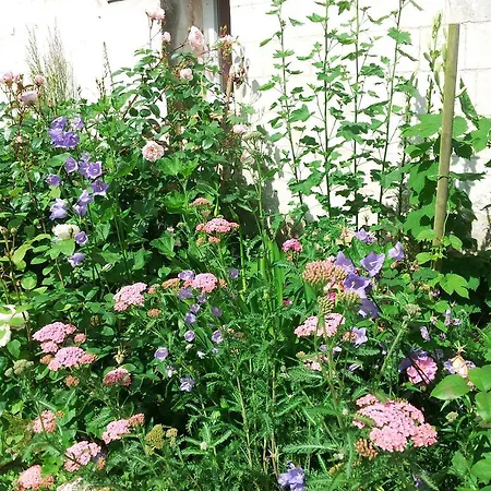 Au Petit Tambour D'autingues Bed & Breakfast